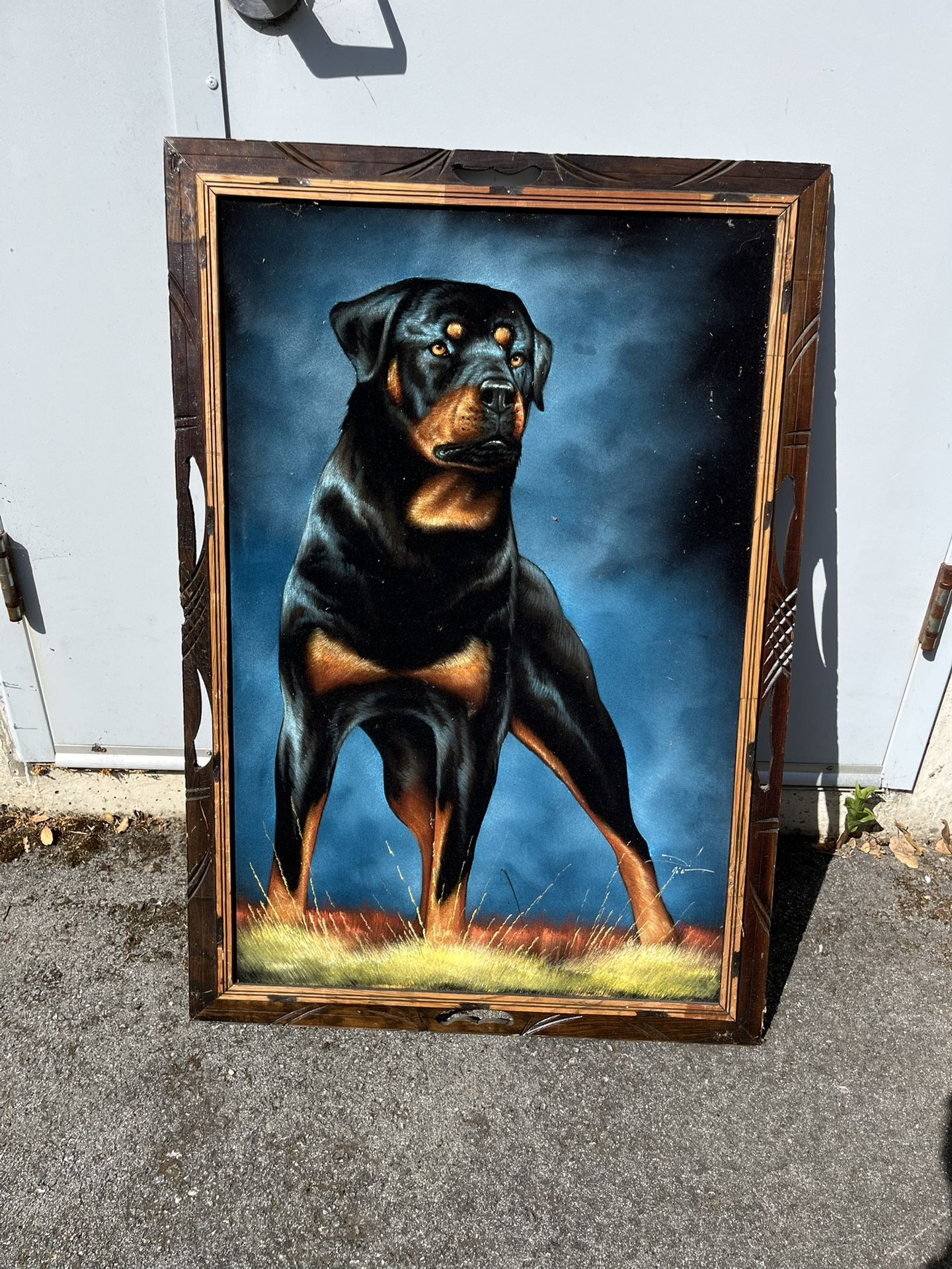 Dog Picture Framed 