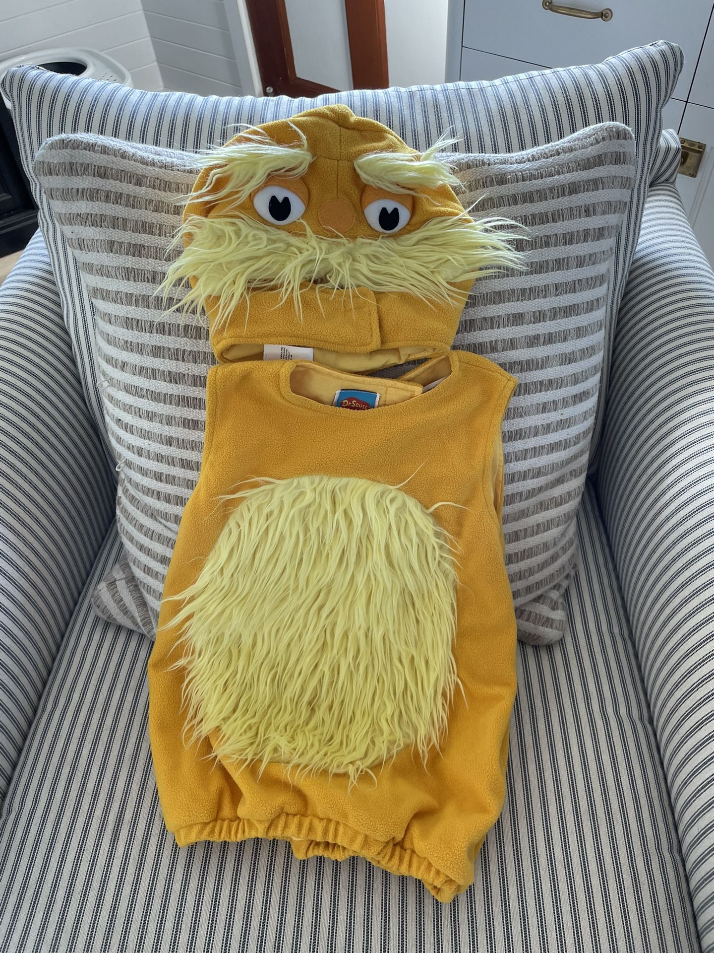 Pottery Barn Lorax Costume