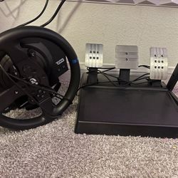 Thrustmaster Racing Wheel