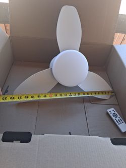 Ciling fans with lights