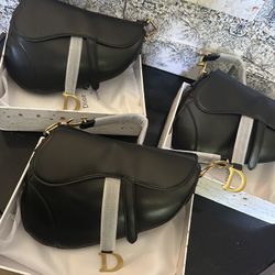 Dior Saddle Bags 