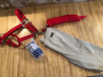 Horse riding pants, halter and leg wrap