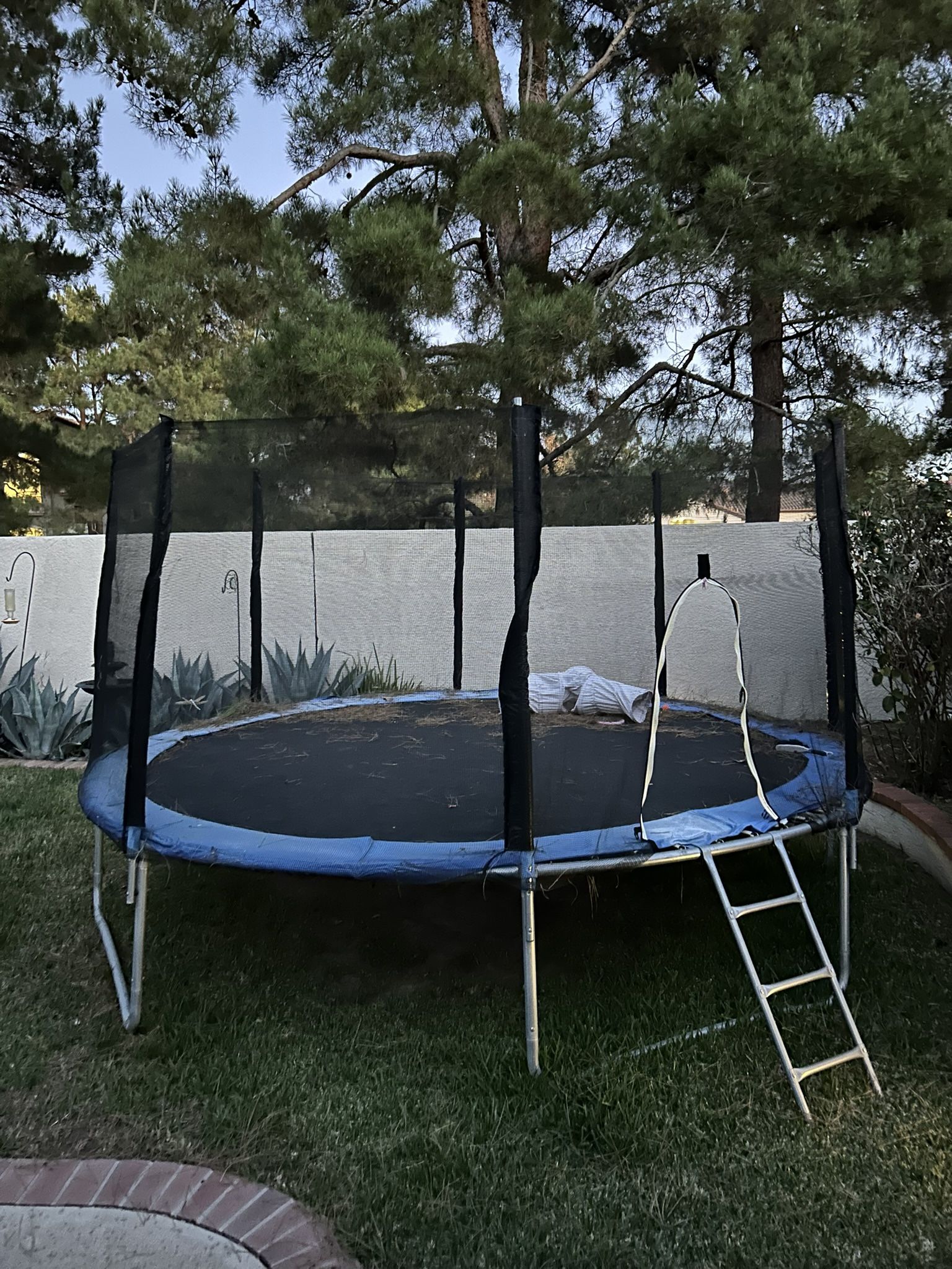Free Trampoline