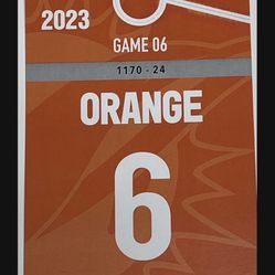Miami Dolphins Parking Pass