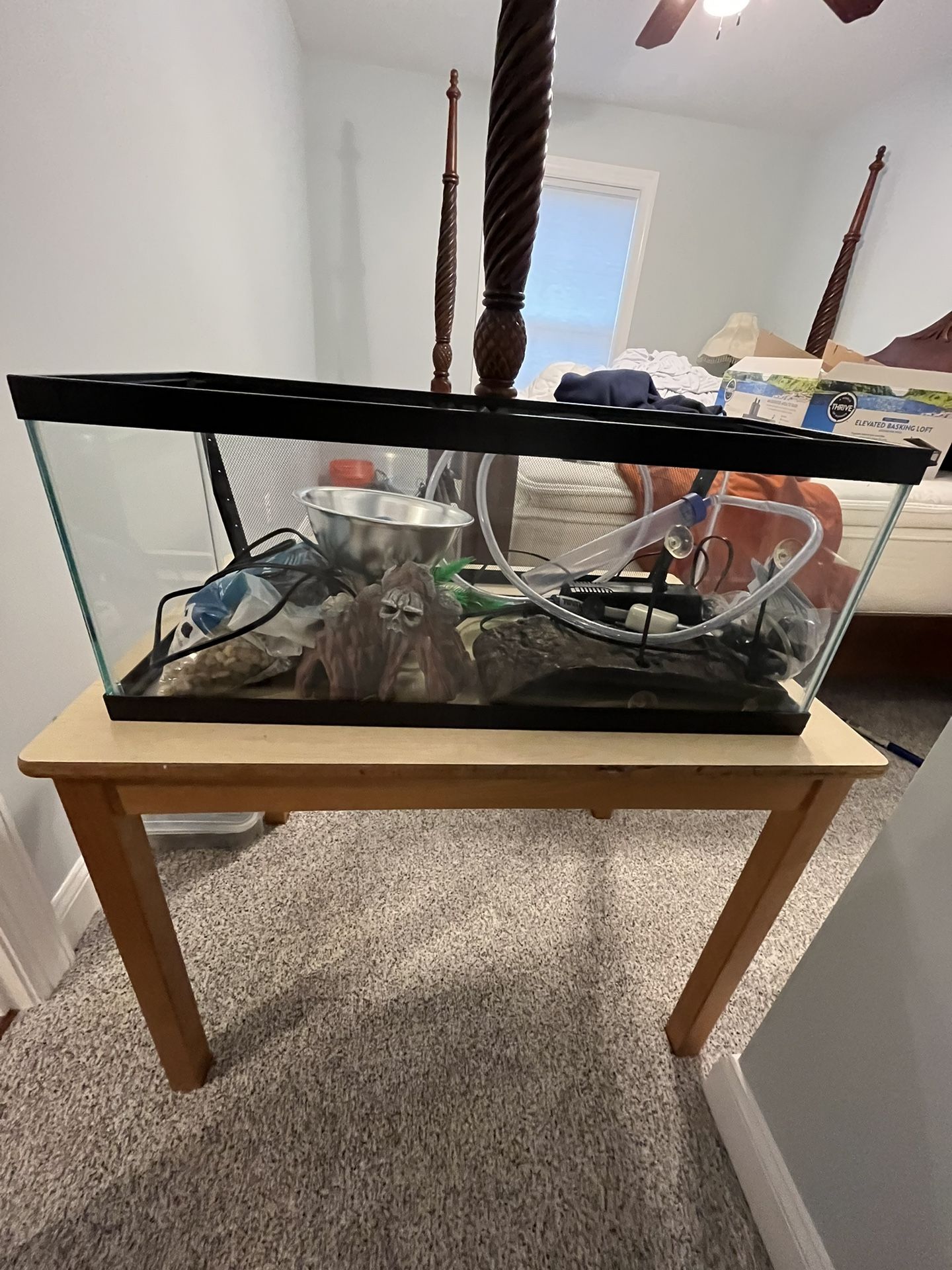 Turtle/Fish Tank Entire Setup