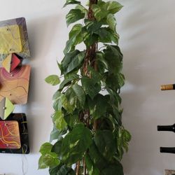 Beautiful Artificial Potted Plant - Great Condition!