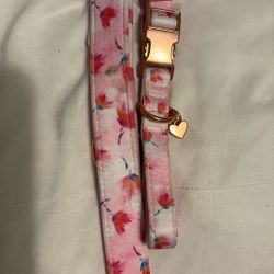 Dog Pink Collar & Leash