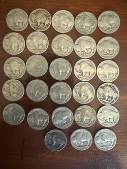 Buffalo nickels x 28