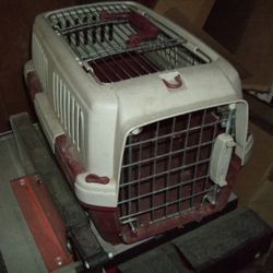 Red white Pet Carrier