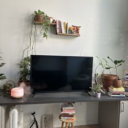 42” Sceptre TV for sale $55