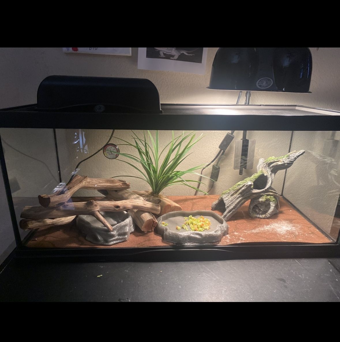 Reptile Tank