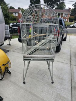 Bird Cage