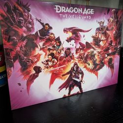 Dragon Age: The Veilguard Displate