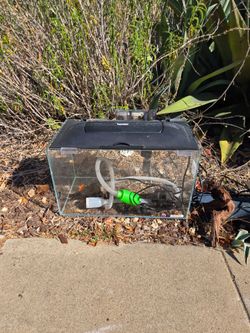 Glass Fish Tank with Lid and Filter