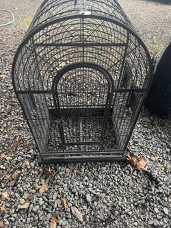 Bird Cage