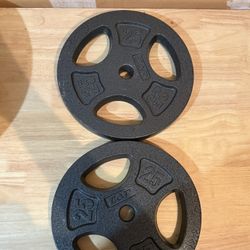 25 lb Plates