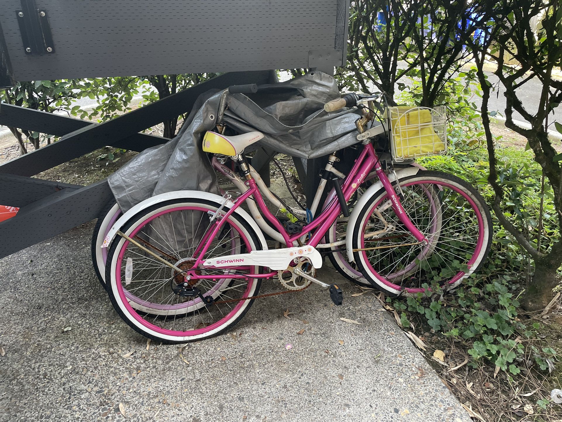 Two Beach Cruiser Bikes, Flat Tires And Rusty Chains