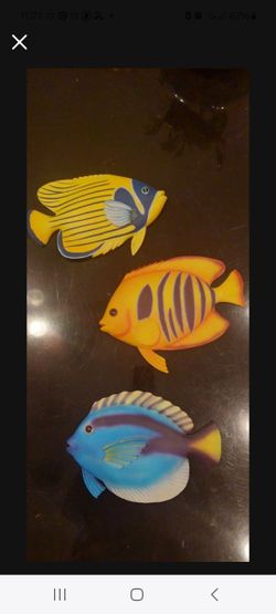 Fish