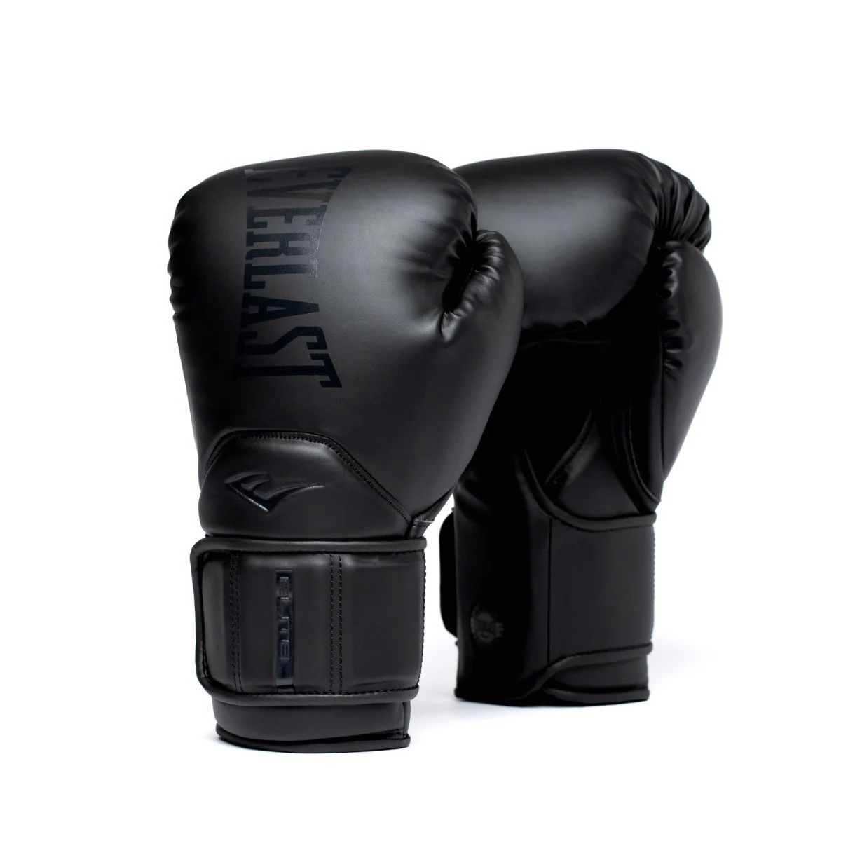 Everlast Boxing Gloves