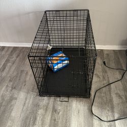 Kennel 