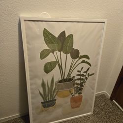 Framed Wall Art – Botanical Plants