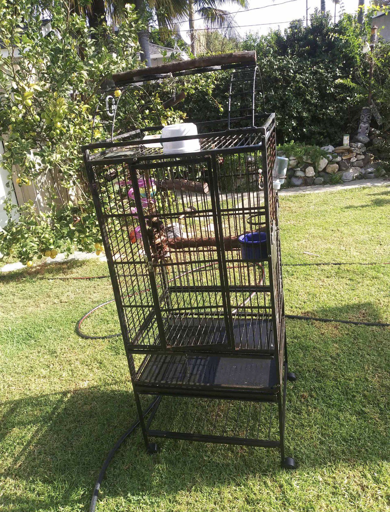 Parrot Cage $60