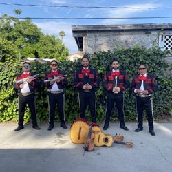 Mariachi Violin