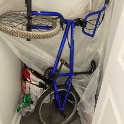 Mode 100 Mongoose Bmx Bike