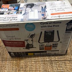 Pro-Form Cycle Trainer 300 Ci