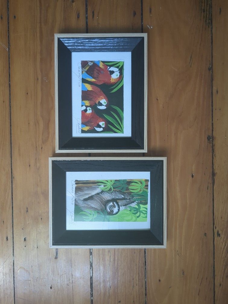 Costa Rica Wildlife Paintings
