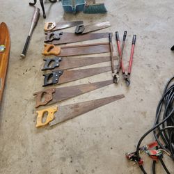 8 Wantage Wood Saws And Two Branch Trimmers
