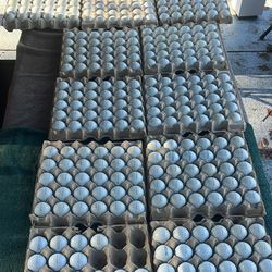 Titleist Prov1/Prov1x Golf Balls