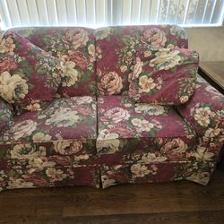 Magnolia Sleeper Sofa and Love Seat
