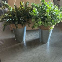 Plant Decor 