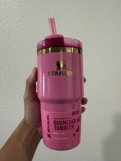 Stanley x Wicked Pink 20oz