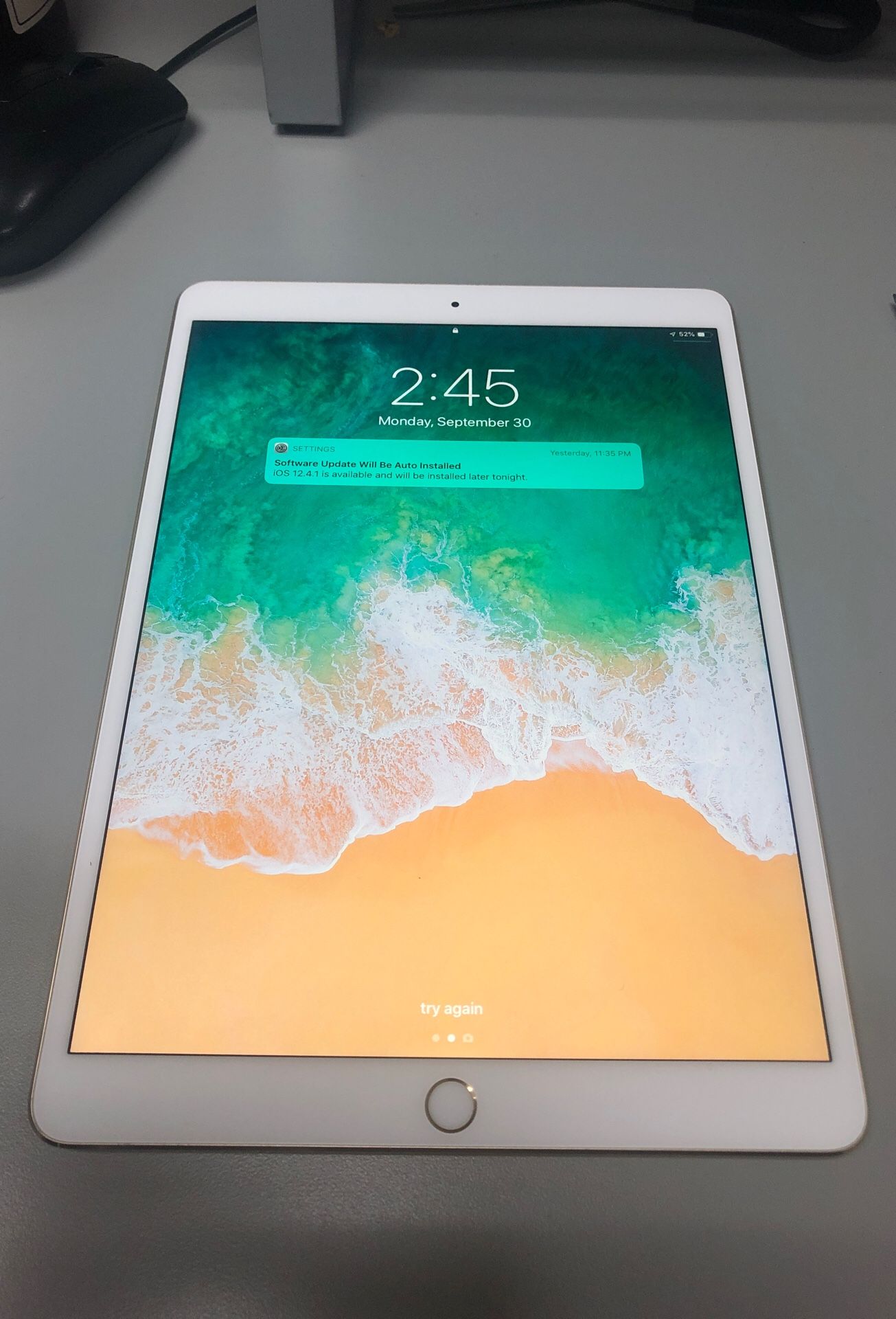 iPad Pro 12.9 256GB