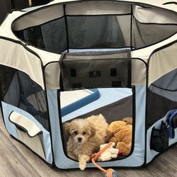 Dog Play Pen