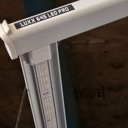 Luxx 645 LED Pro 120-277XR