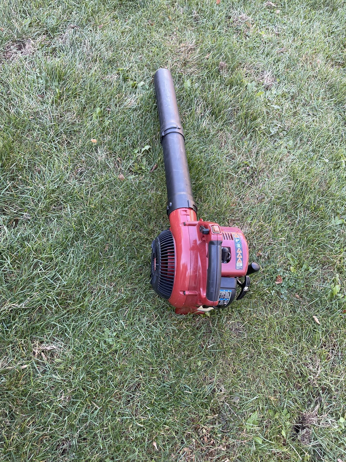 Leaf Blower Toro T25