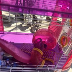 Hamster Cage