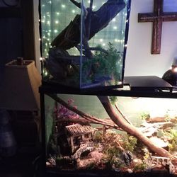 55g And 40g  Fish Tanks All Acc. Included 2for1