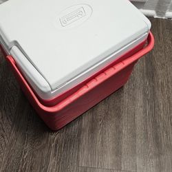 Small Sized Cooler 