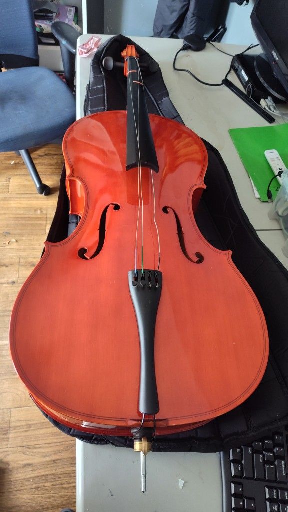 Cecilio Student Cello