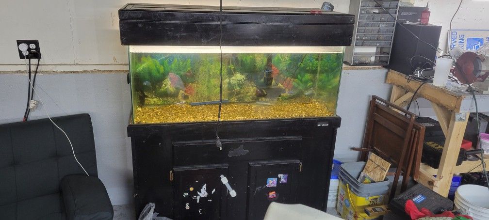 75 Gal Fish Tank