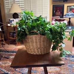 Ivy Artificial House Plant