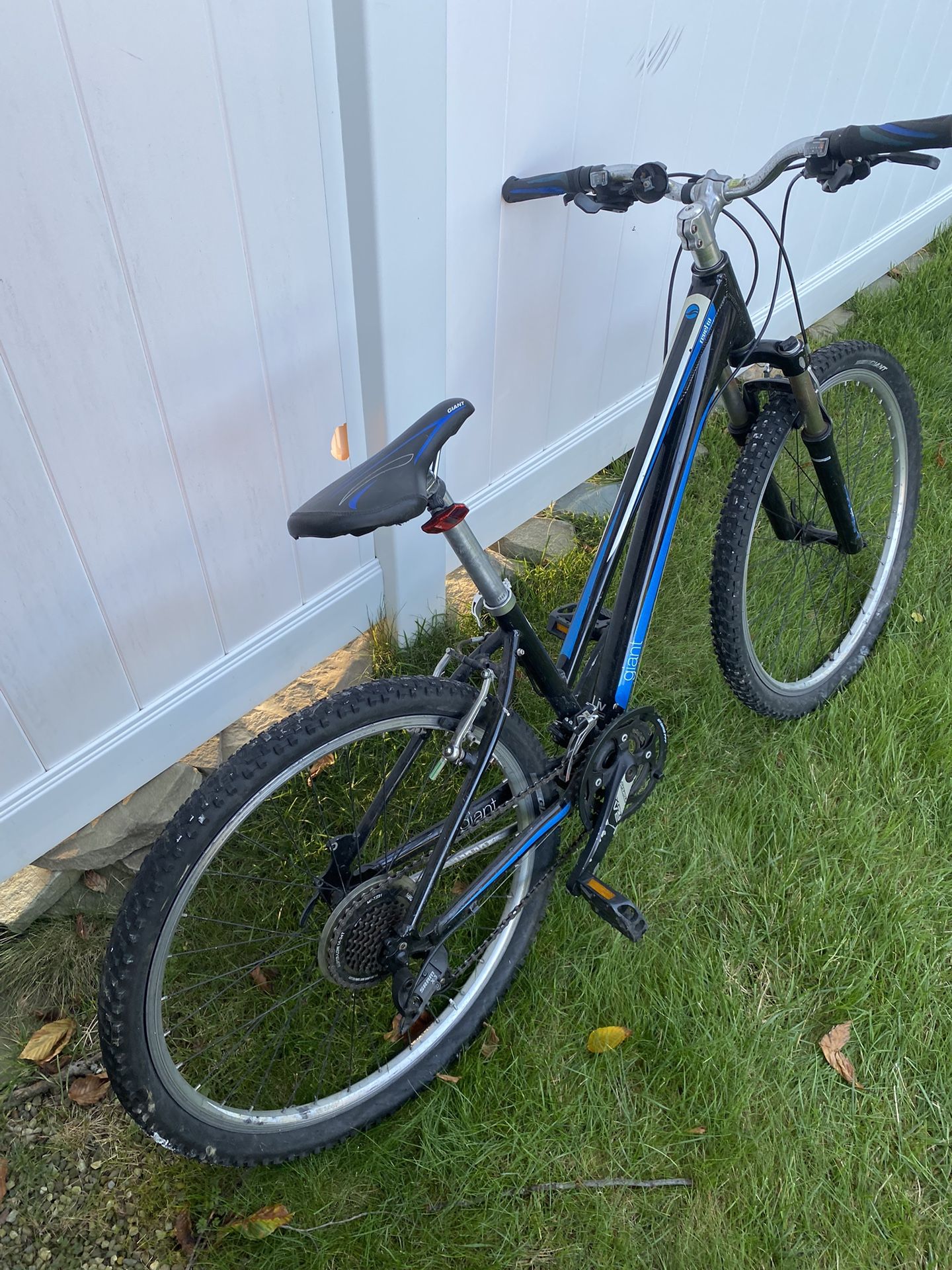 Giant Woman’s/Girls Bike