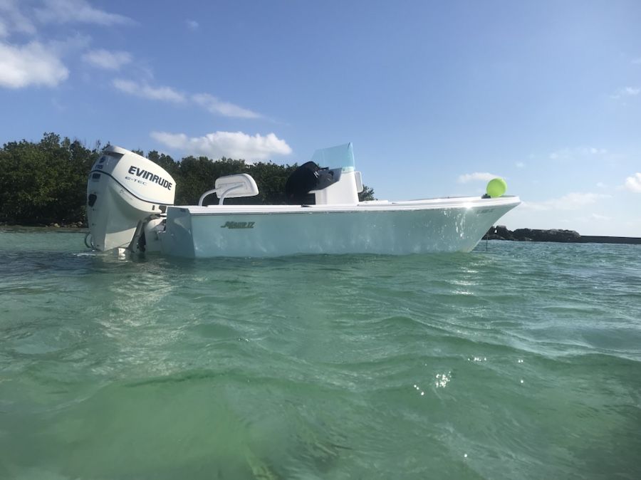 Mako 17 angler