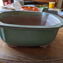Plant Pot
