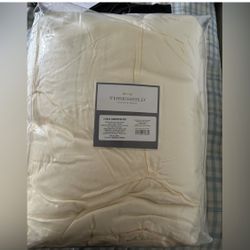 Threshold 2 piece comforter set
