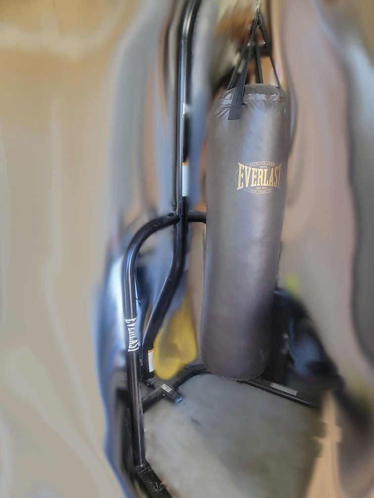 Everlast Heavybag and Stand
